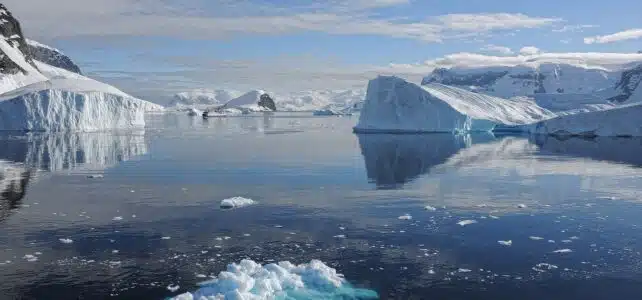 Quelle est la meilleur période pour faire une croisière jusqu’en Antarctique ?